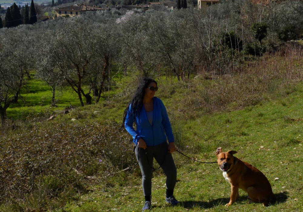 EATON Italy