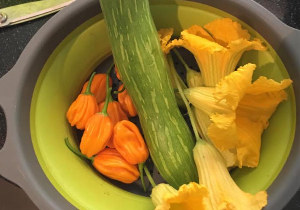 Cooking zucchini flowers